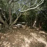 La Pregolosa A بيت للعطل