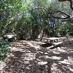 La Pregolosa A