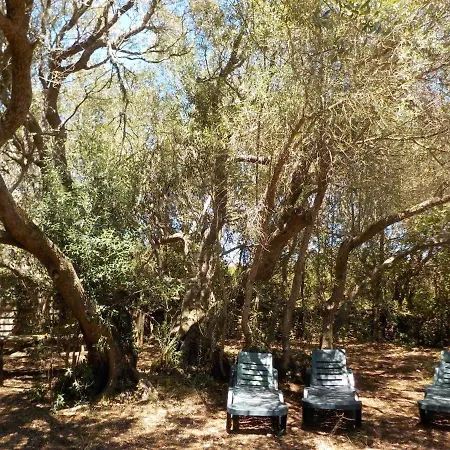 Charmante Bergerie A בית נופש