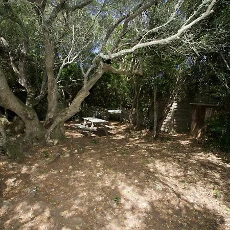 Charmante Bergerie A בית נופש