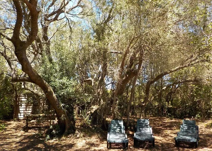 Charmante Bergerie A בית נופש