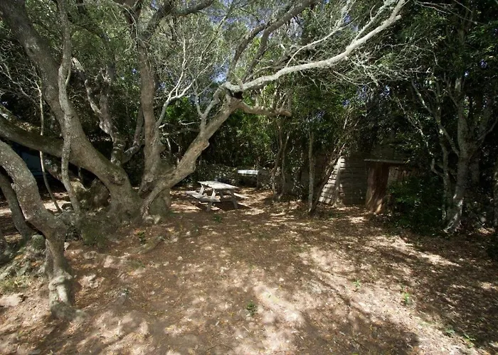 Charmante Bergerie A בית נופש